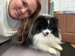 Stevens Brothers,LLC