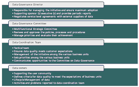 organizational chart of the data governance team source