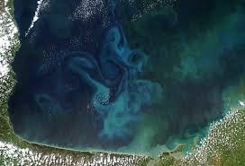 Edits that used to take me hours i can now often achieve in minutes, with much more flexibility and control. How Much Do Oceans Add To World S Oxygen Earth Earthsky