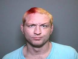 Former mixed martial arts fighter Jason 'Mayhem' Miller pleads guilty to  almost a dozen charges