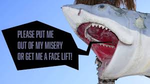 Was jaws inspired by the 1916 new jersey shark attacks? Original Jaws Restored It Looks A Lot Better Than This Now Slashgear