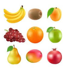 Realistic Grapes Set Of Various Grape Royalty Free Vector Fruit Different Fruits Illustration