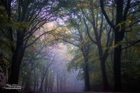 Way Back By Philippe Manguin On 500px Photo Great Pictures Landscape