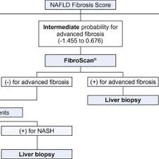Image result for Fibrosis Probability Score