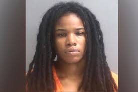 Woman arrested for killing Florida state senator's son: cops