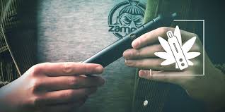 This can help you avoid developing a dry mouth or experiencing an unpleasant taste from the vape. How Do Vaporizers Actually Work Zamnesia