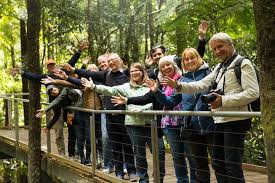 Tripadvisor All Inclusive Blue Mountains Small Group Day Trip From Sydney Provided By Anderson S Tours New South Wales Some of the links on this site are affiliate links and if you use them to make a purchase, we may earn a small commission. all inclusive blue mountains small group day trip from sydney