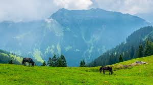 Liechtenstein became fully independent in 1866 when the confederation dissolved. Die Schonste Seite Der Alpen Liechtenstein Fur Naturliebhaber