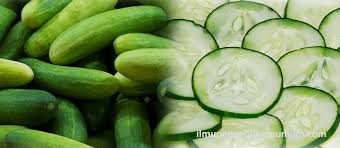 Check spelling or type a new query. Kandungan Gizi Mentimun Cucumber Dan Manfaat Mentimun Bagi Kesehatan