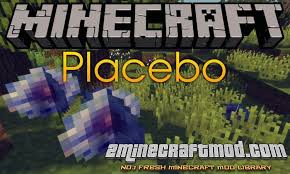 Fabric is a lightweight, experimental modding toolchain for minecraft. Download Placebo Mod For Minecraft 1 16 5 1 1x X 2minecraft Com