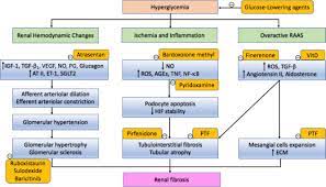 Kidney failure occurs when your kidneys lose the ability to sufficiently filter waste from your blood. Update Of Pathophysiology And Management Of Diabetic Kidney Disease Sciencedirect
