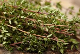 For some others, it tastes like oregano. Thyme Herb Seeds Perennial Herb Premium Garden Seeds Hoss Tools