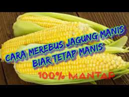 We did not find results for: Cara Merebus Jagung Manis Yang Benar