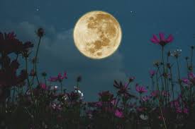 There are 12 full moons to spot in. Full Moon Calendar 2021 When Is The Next Full Moon Dates Times