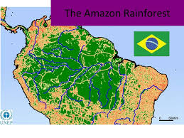 We provide your with quality information prior to the trip, and make sure you. The Amazon Rainforest Objectives Use A Mind Map Technique To Identify And Give Detail About Developments In The Amazon Rainforest Page Ppt Download