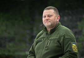 Image result for Zeuxine ballii