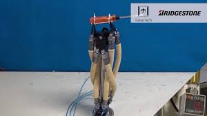 We did not find results for: High Power Hydraulic Artificial Muscle For Tough Robots Youtube