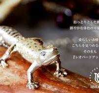 marship Handmade Accessories Leopard Gecko Silver Necklace [MS-T-1]