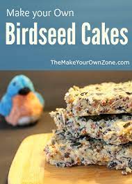If you make the whole recipe and have too much, it freezes very well. How To Make Homemade Birdseed Cakes
