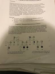 Skips generation afflicted are all male two different dads but same mother suggests likelihood of both. Using Pedigrees To Trace Inheritance Patterns Flashcards Quizlet