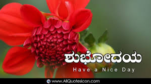 Malayalam Good Morning Quotes Wishes For Whatsapp Life Dahlia 1400x788 Download Hd Wallpaper Wallpapertip Download all photos and use them even for commercial projects. malayalam good morning quotes wishes