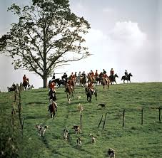 Fox hunt is a 1996 interactive movie video game developed by 3vision gamers and published by capcom for microsoft windows and playstation. Foxhunting Britannica