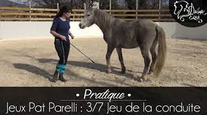 Les sept jeux de parelli. Pratique Jeux Pat Parelli 3 7 Jeu De La Conduite Youtube