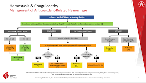Image result for CVA Management