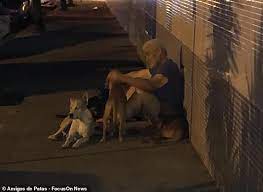 Loyal dogs chase ambulance after homeless owner suffers stroke in Brazil | Daily Mail Online
