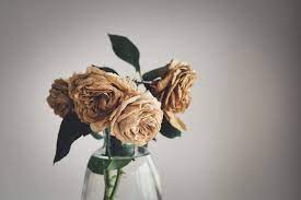It's important to unbox and prepare the flowers the right way in order to preserve their quality and extend their life. 5 Best Ways To Dry Roses So They Last Forever The Smell Of Roses The Smell Of Roses