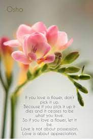Birthday Wishes Expert Wishes Quotes And Birthday Messages Beautiful Flowers Flowers Amazing Flowers