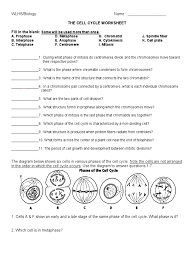 This student exploration meiosis gizmo answer key enables us know that true strength will not come from will. Cell Cycle Mitosis Cell Cycle