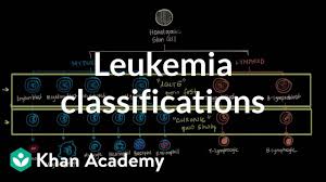 Leukemia Classifications Video Leukemia Khan Academy