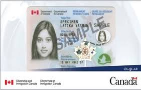 Gives you official immigration status in the united states; Permanent Resident Card Renewal Replacement Workshop Events Vancouver Public Library