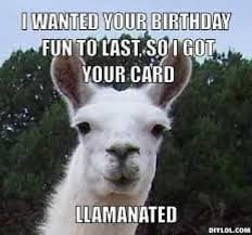 Birthday Quotes Happy Birthday Meme Funny 50 Funny Birthday Memes Happy Birthday Quotes Funny Happy Birthday Quotes For Him Happy Birthday Funny
