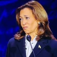 kamala shadow presidency