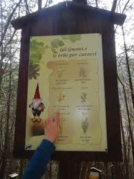 Visita il nostro sito per saperne di più e rimanere aggiornato. Il Sentiero Degli Gnomi Di Bagno Di Romagna Escursioni Con I Bambini In Appennino Emiliano Romagnolo E In Toscana