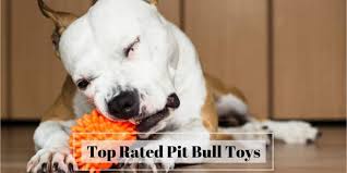 Search best toys for pitbulls. Top Rated Pit Bull Toys