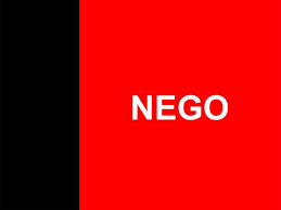 Resultado de imagem para bandeiras dos estados brasileiros vetor