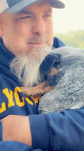 Is this a speeding ticket in Season 3?