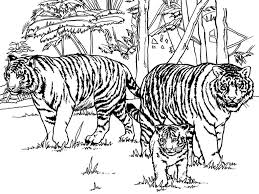 Pin On Adult Coloring Animals