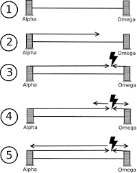 Csma/cd in computer networking is related to collision domain and broadcast domain in networking. Carrier Sense Multiple Access Collision Detection Wikipedia