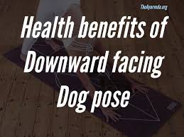 Health Benefits Of Downward Facing Dog Pose Adho Mukha Svanasana To Strengthen Whole Body Downward Facing Dog Dog Poses Poses