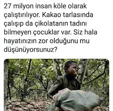 Filiz Kutuk Adli Kullanicinin Siirler Panosundaki Pin Guzel Soz Ozlu Sozler Hayat