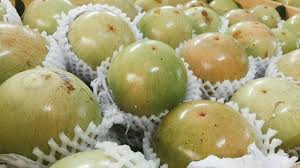 Có loại cay nào phù hop với loai dia hinh dat da khong. Ä'áº·c Sáº£n Vung Miá»n Xá»©ng Táº§m Hoa Quáº£ Viá»‡t Há»‡ Thá»'ng Hoa Quáº£ Sáº¡ch Nháº­p Kháº©u Fuji