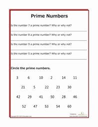 5th grade, prime and composite numbers. Practice With Prime Numbers Worksheet Education Com