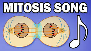 We did not find results for: The Cell Organelle Song Youtube