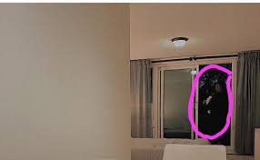 ولدت الشابة السعودية رهف القنون في المملكة العربية السعودية عام 2000 ميلادي الموافق 11 مارس، وهي من أب سعودي وأم سعوديه وديانتها المسيحية بعد ان ارتدت عن الإسلام، وزوجها لاعب كرة السلة الافريقي لوفولو أندي وانجبت منه. Ù…Ù† Ù‡Ùˆ Ø²ÙˆØ¬ Ø±Ù‡Ù Ø§Ù„Ù‚Ù†ÙˆÙ† ØµÙˆØ±Ø© Ø·ÙÙ„ Ø±Ù‡Ù Ø§Ù„Ù‚Ù†ÙˆÙ† Ø¬ÙŠÙ„ Ø§Ù„ØºØ¯