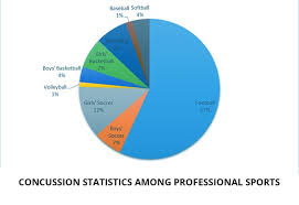 pie chart with concussion stats by sport