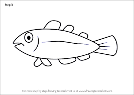 5) draw a set of cute cats faces. Learn How To Draw A Cool Fish For Kids Animals For Kids Step By Step Drawing Tutorials